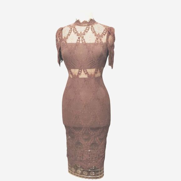 L'atiste Dress Victorian Lace Romantic Stretchy Sheer Panels Brown Mauve Tan S - Picture 2 of 14
